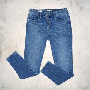 Vigoss Marley Mid-Rise Skinny Jean, Medium Wash, Indigo, Size 8